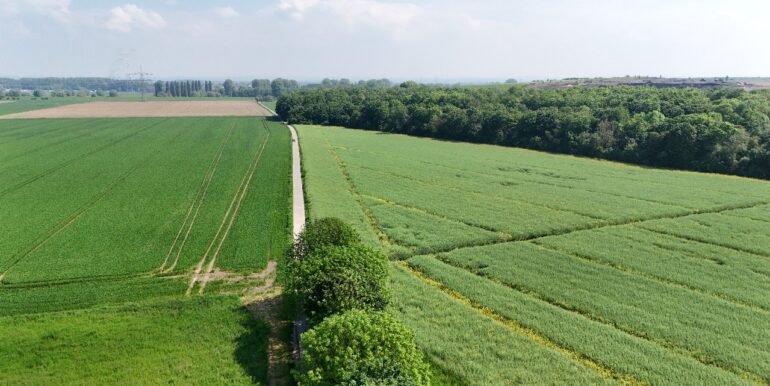 an den Rheinauen in Dormagen