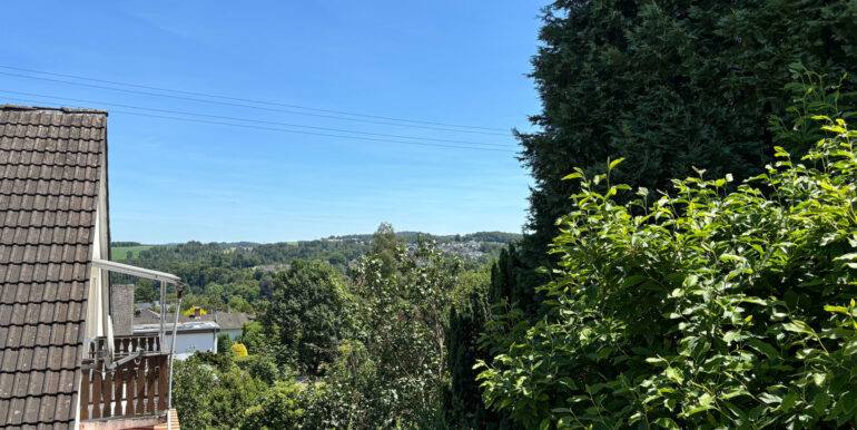 Aussicht vom Balkon im OG