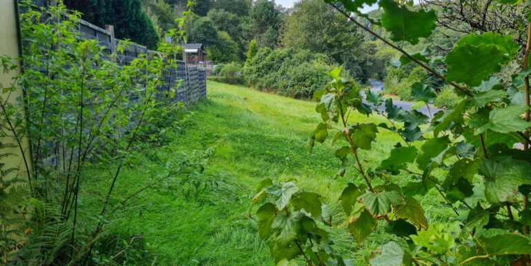 Blick auf die Wiese