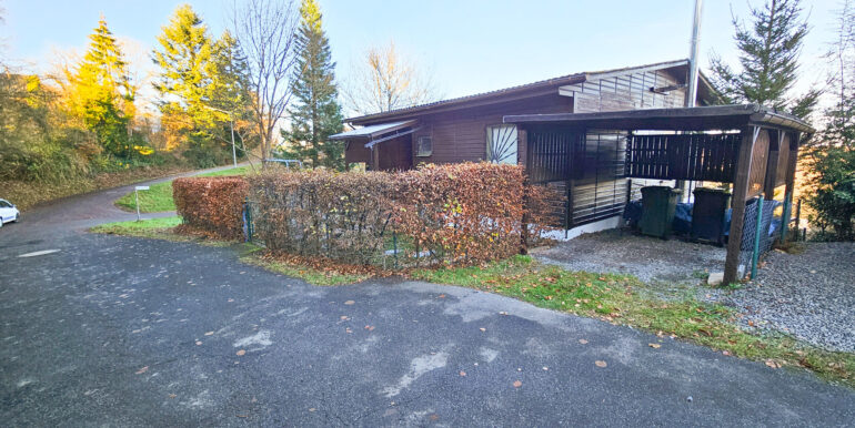 Vorderansicht mit Carport