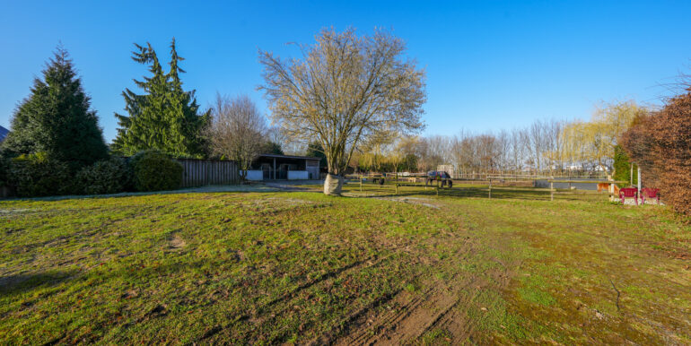 Aussicht auf Pferdewiese